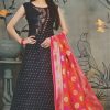 Chanderi Black Color Floor Touch Embroidery Work Kurti with Rani Color Banarasi Dupatta IMG 20200617 153414 100x100